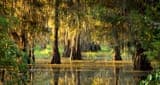 107.5 The Swamp (Gizmo Media Networks)