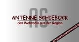 Antenne Schiebock