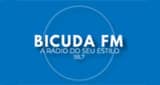 Rádio Bicuda