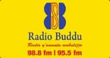 Radio Buddu 98.8FM and 95.5FM