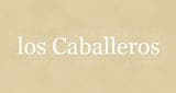 Caballeros  en linea