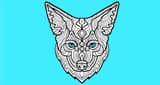 Coyote New Country 103.3 HD2