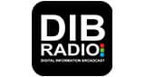 DIB Radio