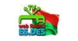 ESDES TV Radio