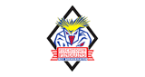 Fischtown Pinguins