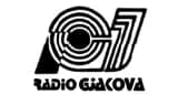 Radio Gjakova