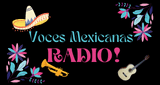 Voces Mexicanas Radio