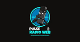 Pulse radio