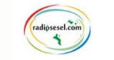 Radiosesel