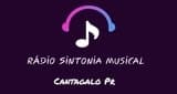 Radio Sintonia Musical