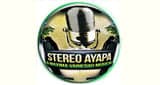 Stereo Ayapa