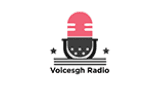Voicesgh Radio